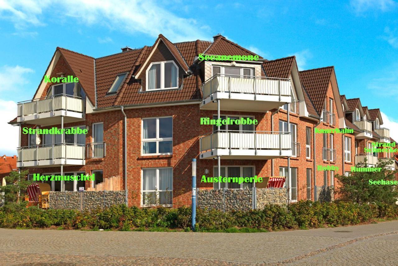 Haus Suedwester Koralle Insel Poel Buitenkant foto
